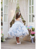 Long Sleeves Blue Sparkling Lace Tulle Ruffled Flower Girl Dress